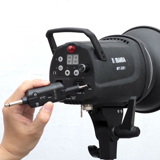 Cricket ストロボ　2頭 Cricket ストロボ 2頭